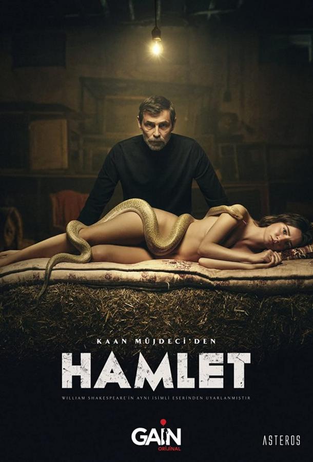 Подробнее о турецком сериале «Гамлет»